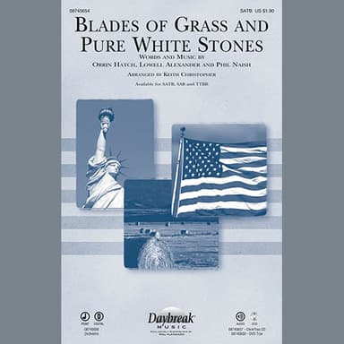 Blades Of Grass And Pure White Stones