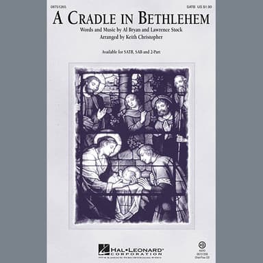 A Cradle In Bethlehem