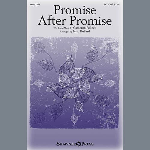 Promise After Promise