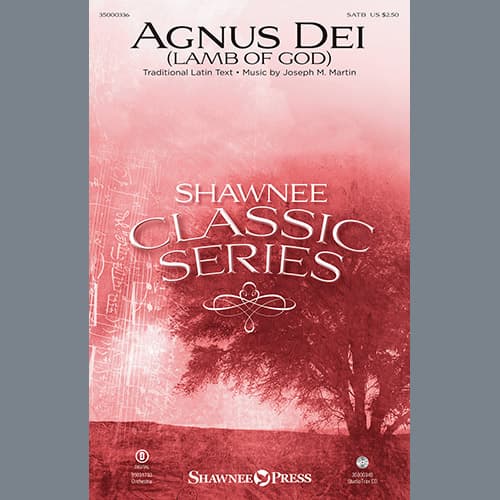 Agnus Dei - Violin 1