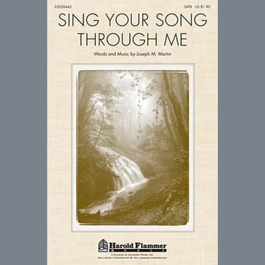 Sing Your Song Through Me