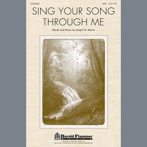 Sing Your Song Through Me