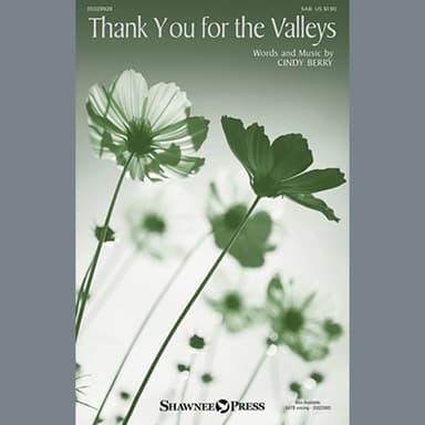 Thank You For The Valleys