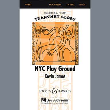 NYC Play Ground