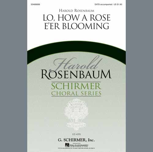 Lo, How A Rose E'er Blooming