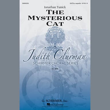 The Mysterious Cat