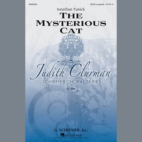 The Mysterious Cat