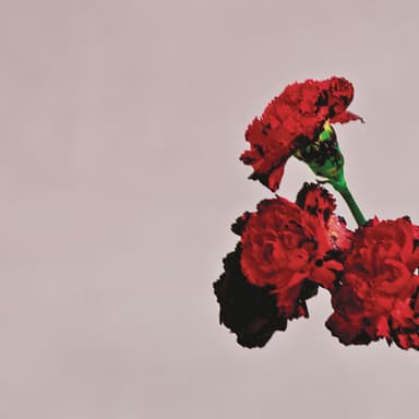 All Of Me [Classical version]