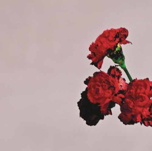 You And I (Nobody In The World)