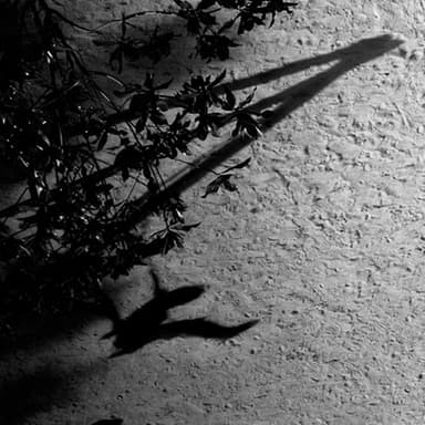 Horizon Variations