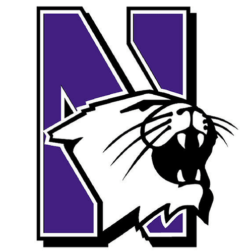 Go Northwestern Go (Go U Northwestern)