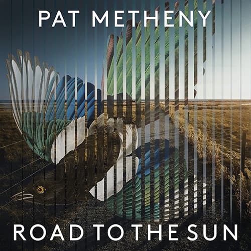 Four Paths Of Light