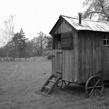 I Wouldn't Leave My Little Wooden Hut For You