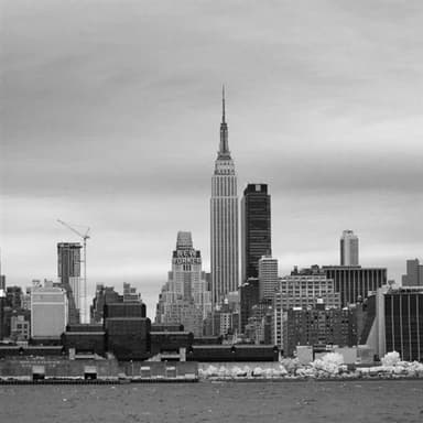 Native New Yorker