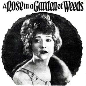A Rose In A Garden Of Weeds