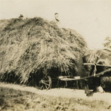A Load Of Hay