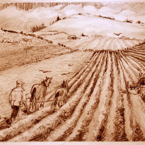 We Plough The Fields And Scatter