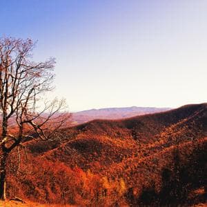 There's A Blue Ridge Round My Heart Virginia