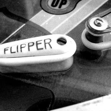 Flipper