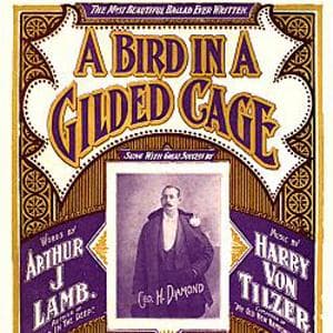 A Bird In A Gilded Cage