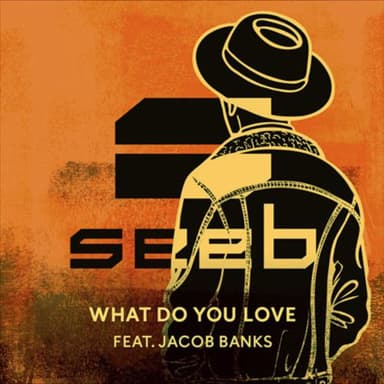 What Do You Love (featuring Jacob Banks)