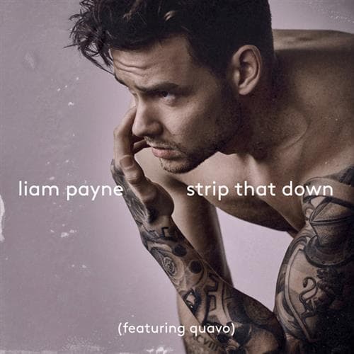 Strip That Down (featuring Quavo)