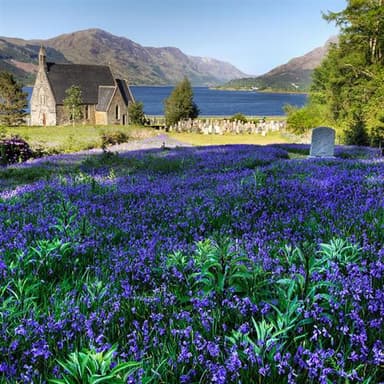 The Bluebells Of Scotland