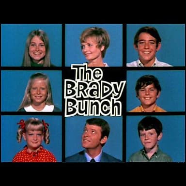 The Brady Bunch