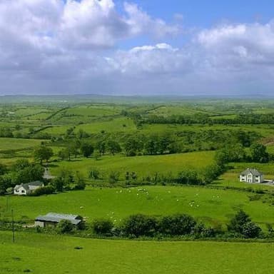 The Fields Of Athenry