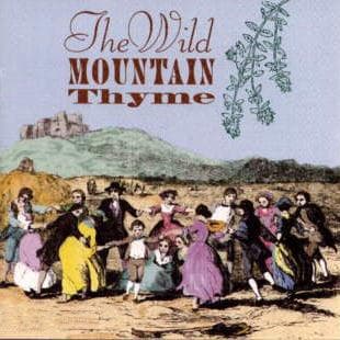 Wild Mountain Thyme