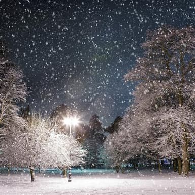 Blizzard