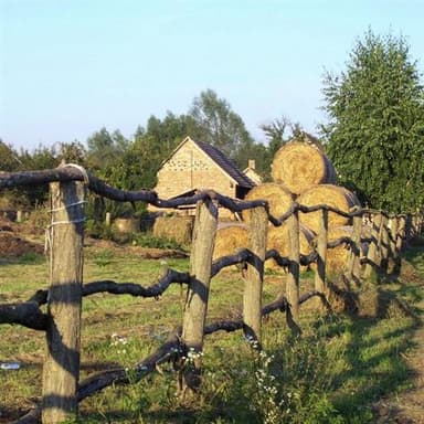 Magasan Repul A Daru (Hungaria's Treasure)
