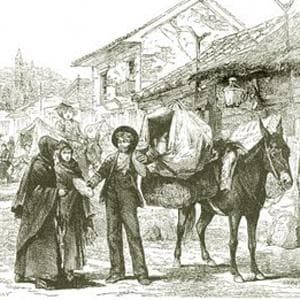 Maquerule