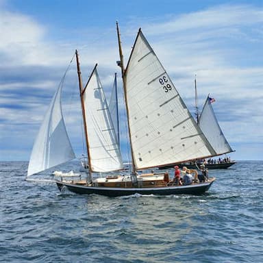 Blow The Wind Southerly