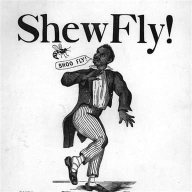 Shoo Fly, Don't Bother Me