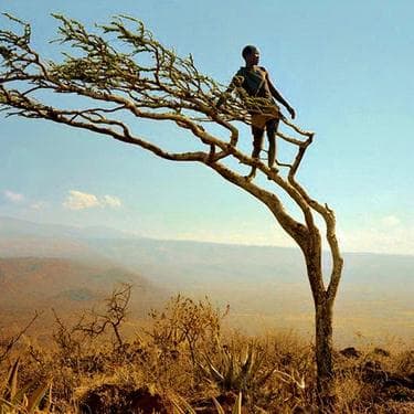 Zacchaeus