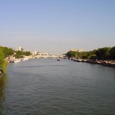 The River Seine (La Seine)
