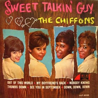 Sweet Talkin' Guy