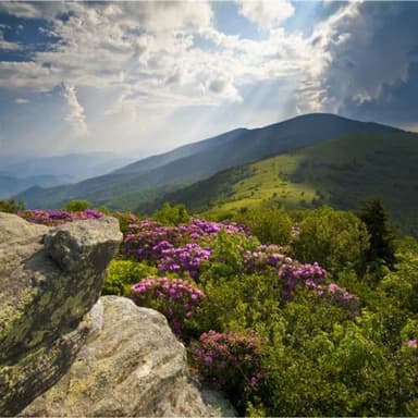 Appalachian Psalm