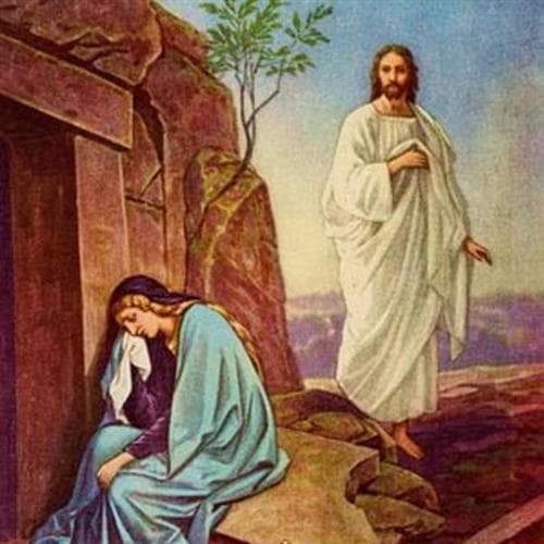 They Took My Lord Away
