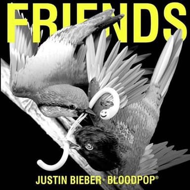 Friends (feat. BloodPop)
