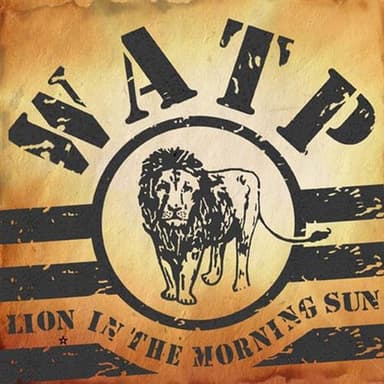 Lion In The Morning Sun