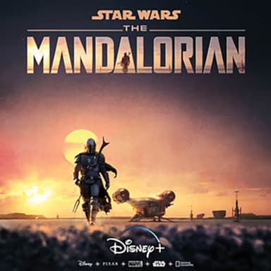 The Mandalorian (from Star Wars: The Mandalorian)