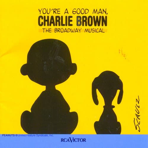 The Kite (Charlie Brown's Kite)