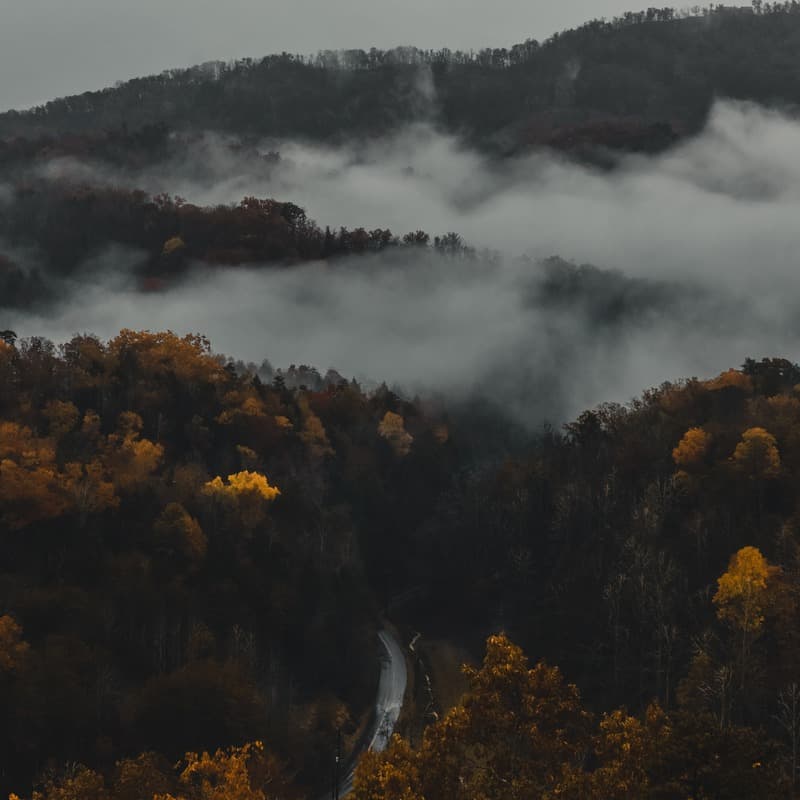 On Top Of Old Smoky (arr. Dominic Meccia)