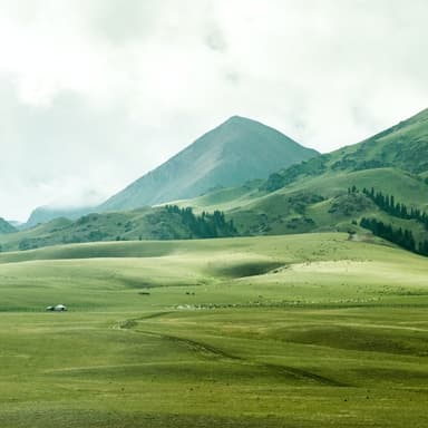 Green Grow The Rushes, O (arr. Dominic Meccia)