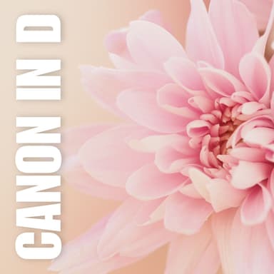 Pachelbel Canon in D • bassoon sheet music  (arr. Benzaiten Editions)