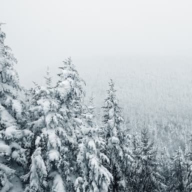 In The Bleak Midwinter (arr. Learning the Harp)