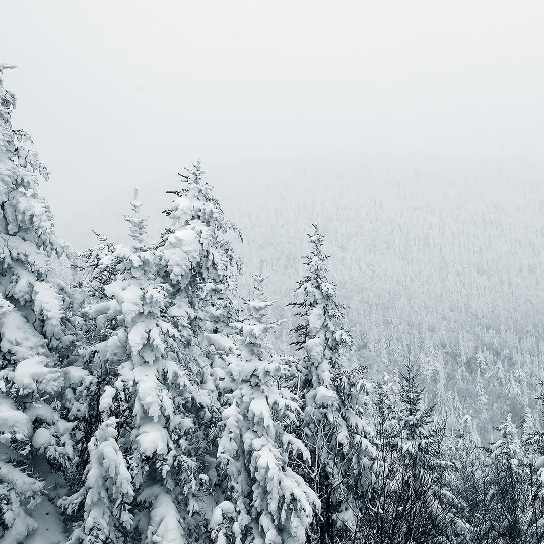 In The Bleak Midwinter (arr. Learning the Harp)