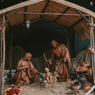 What is the Baby's Name?